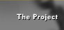 The Project button
